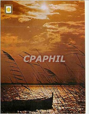 Image du vendeur pour Carte Postale Moderne Coucher de Soleil sur nos Merveilleux Rivages mis en vente par CPAPHIL