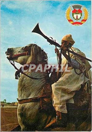 Bild des Verkufers fr Carte Postale Moderne Marrakech Cavalier de Fantasia zum Verkauf von CPAPHIL