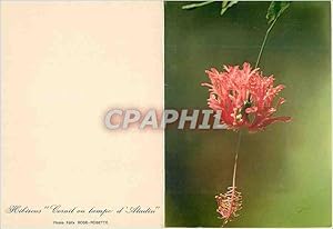 Image du vendeur pour Carte Postale Moderne Hibiscus corail ou lampe d aladin mis en vente par CPAPHIL