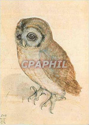 Imagen del vendedor de Carte Postale Moderne Albrecht Durer Das Kauzchen Wien Albertina Museum Chouette Hibou a la venta por CPAPHIL