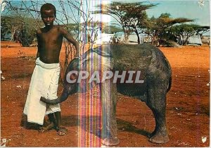 Seller image for Carte Postale Moderne Kisimayo National Park Two Young Friends Enfant Elephant for sale by CPAPHIL