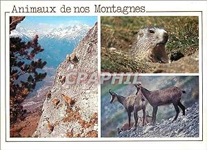 Bild des Verkufers fr Carte Postale Ancienne Animaux de nos Montagnes Images Chez nous Jeunes Bouquetins Marmotte Chamois zum Verkauf von CPAPHIL