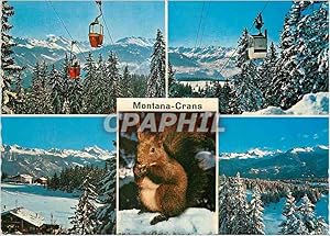 Carte Postale Moderne Montana Crans Ecureuil