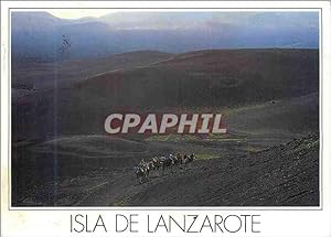 Seller image for Carte Postale Moderne Isla de Lanzarote Islas Canarias Timanfaya The Imposing Slence of Timanfaya is Broken by the Rhythmic Tread of the for sale by CPAPHIL