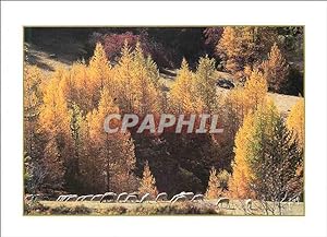 Bild des Verkufers fr Carte Postale Moderne Couleurs et Lumieres de France zum Verkauf von CPAPHIL
