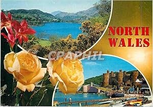 Carte Postale Moderne North Wales Llyn Gwynant Snowdonia Conway Castle