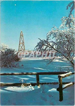 Carte Postale Moderne Hiver en Haute Fagne