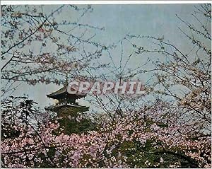 Image du vendeur pour Carte Postale Moderne Yokohama City Sankei on Park is a Private Garden mis en vente par CPAPHIL