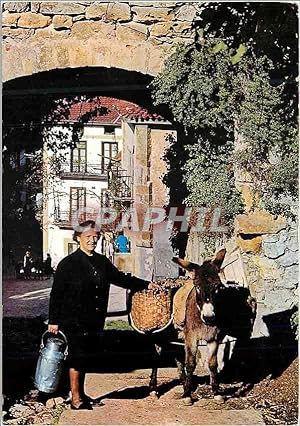 Carte Postale Moderne Laredo Entrée ancienne de la Villa Ane Donkey Folklore