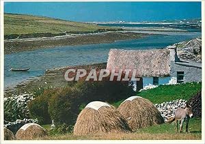 Imagen del vendedor de Carte Postale Moderne Ireland People Places Connemara Ane Donkey a la venta por CPAPHIL