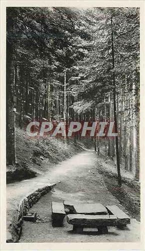 Seller image for Carte Postale Moderne St Die les MOlieres la Fontaine Fachot for sale by CPAPHIL