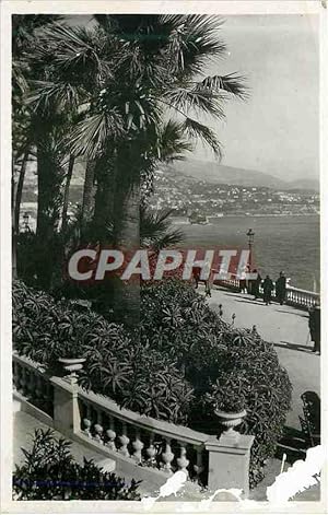 Imagen del vendedor de Carte Postale Moderne 26 cote d azur monte carlo a la venta por CPAPHIL