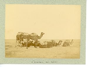 Magreb Caravane au repos