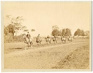 France, la vénerie, chasse à courre