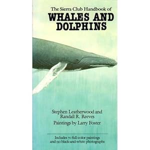 Imagen del vendedor de The Sierra Club Handbook of Whales and Dophins a la venta por Buteo Books