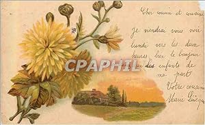 Image du vendeur pour Carte Postale Ancienne Fleurs mis en vente par CPAPHIL