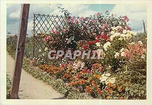 Bild des Verkufers fr Photo Jardin Fleurs zum Verkauf von CPAPHIL