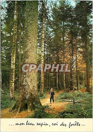 Image du vendeur pour Carte Postale Moderne Mon Beau Sapin Roi des forts mis en vente par CPAPHIL