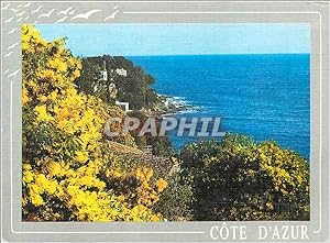 Image du vendeur pour Carte Postale Moderne Rivages Enchanteurs Tapises de Mimosas Lumiere et Beaute de la Cote d'Azur mis en vente par CPAPHIL