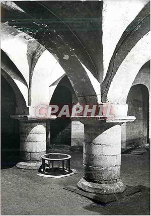 Carte Postale Moderne Winchester Cathedral the Crypt