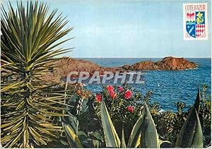 Image du vendeur pour Carte Postale Moderne Cote d'Azur Carrefour Mondial du Tourisme Flore Exotique dans L'Esterel au Loin Les Recifs de Porphyre Rouge mis en vente par CPAPHIL