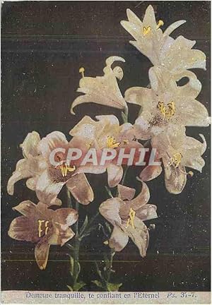 Immagine del venditore per Carte Postale Moderne Demeure Tranquille te Confiant en l'Eternel Ps 37 7 Fleurs venduto da CPAPHIL