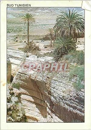 Bild des Verkufers fr Carte Postale Moderne Sud Tunisien une Oasis de Montagne Mides zum Verkauf von CPAPHIL