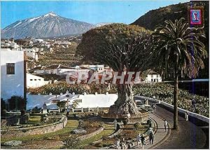 Carte Postale Moderne Icod de Los Vinos Tenerife El Drago millenario