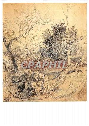 Bild des Verkufers fr Carte Postale Moderne Pieter Paulus Rubens Paysage avec un arbre a terre Pierre noire plume et encre brune zum Verkauf von CPAPHIL