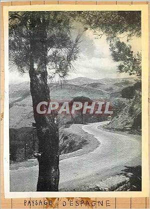 Seller image for Image Paysage d'Espagne for sale by CPAPHIL