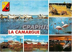 Carte Postale Moderne La Camargue Passage de cnevaux Marade de taureaux Flamants Pont du Maure et...