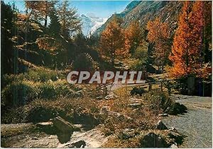 Image du vendeur pour Carte Postale Moderne Valle d'Aosta Cogne Valnontey Jardin Botanique mis en vente par CPAPHIL