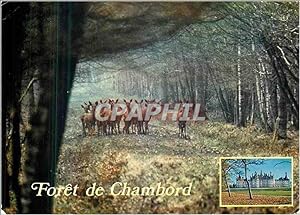 Imagen del vendedor de Carte Postale Moderne A la limite de la Sologne Chambord a la venta por CPAPHIL