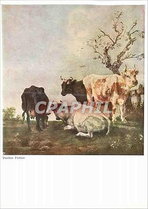 Bild des Verkufers fr Carte Postale Moderne Zurich Paulus Potter Vaches au Paturage (Kassel) Walter Classen Kunstverlag zum Verkauf von CPAPHIL