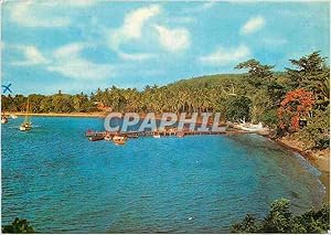 Carte Postale Moderne Martinique L'Anse Mitan vue d'Ensemble