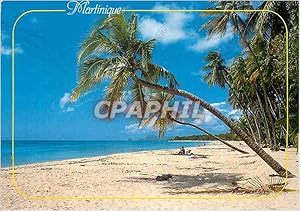 Carte Postale Moderne Martinique La Plage des Salines