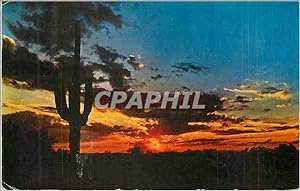 Seller image for Carte Postale Moderne The setting sun silhouettes a sentinel like Saguaro cactus against the western sky for sale by CPAPHIL