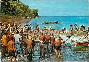 Carte Postale Moderne Martinique Coup de Senne a Saint Pierre Peche