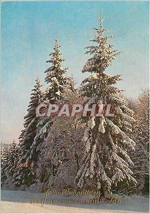 Image du vendeur pour Carte Postale Moderne Sapin mis en vente par CPAPHIL