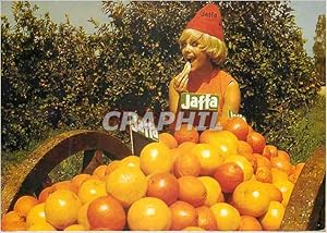 Carte Postale Moderne Oranges de Jaffa