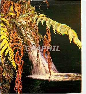 Carte Postale Moderne Guadeloupe cascade aux ecrevisses parc naturel de la guadeloupe