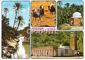 Carte Postale Moderne Souvenir de Tunisie Oasis de Tozeur Tortue