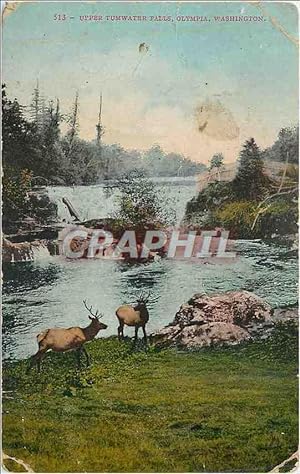 Seller image for Carte Postale Ancienne Upper tumwatter palls alympia washington for sale by CPAPHIL