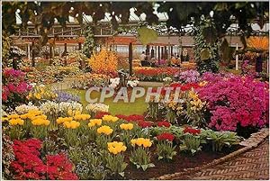 Bild des Verkufers fr Carte Postale Moderne La Hollande en parure des fleurs zum Verkauf von CPAPHIL