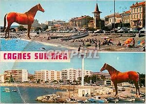 Carte Postale Moderne Au soleil de la cote d'Azur Cagnes Reflets de Cagnes Chevaux