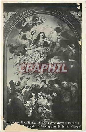 Carte Postale Ancienne Cathédrale L Assomption de la S Vierge Rubens