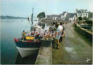 Carte Postale Moderne Belz Le Village de Saint Cado sur la rivière d'Etel retour de peche La bret...