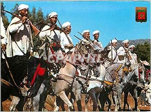 Carte Postale Moderne Marruecos Tipico Typical Morocco Typical cavalry