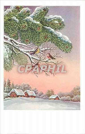 Image du vendeur pour Carte Postale Ancienne Sapin Oiseaux mis en vente par CPAPHIL