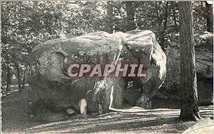 Bild des Verkufers fr Carte Postale Moderne Environs de Larchant (S et M) L'Elephant zum Verkauf von CPAPHIL